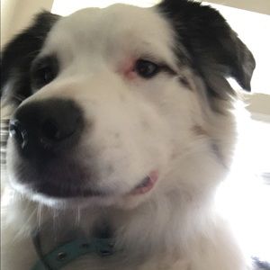 Meet your Posher, Bridget